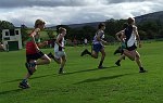 Click on thumbnail for larger photo